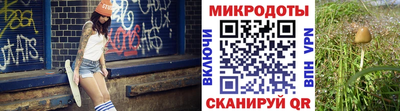 Псилоцибиновые грибы Magic Shrooms  Крымск 
